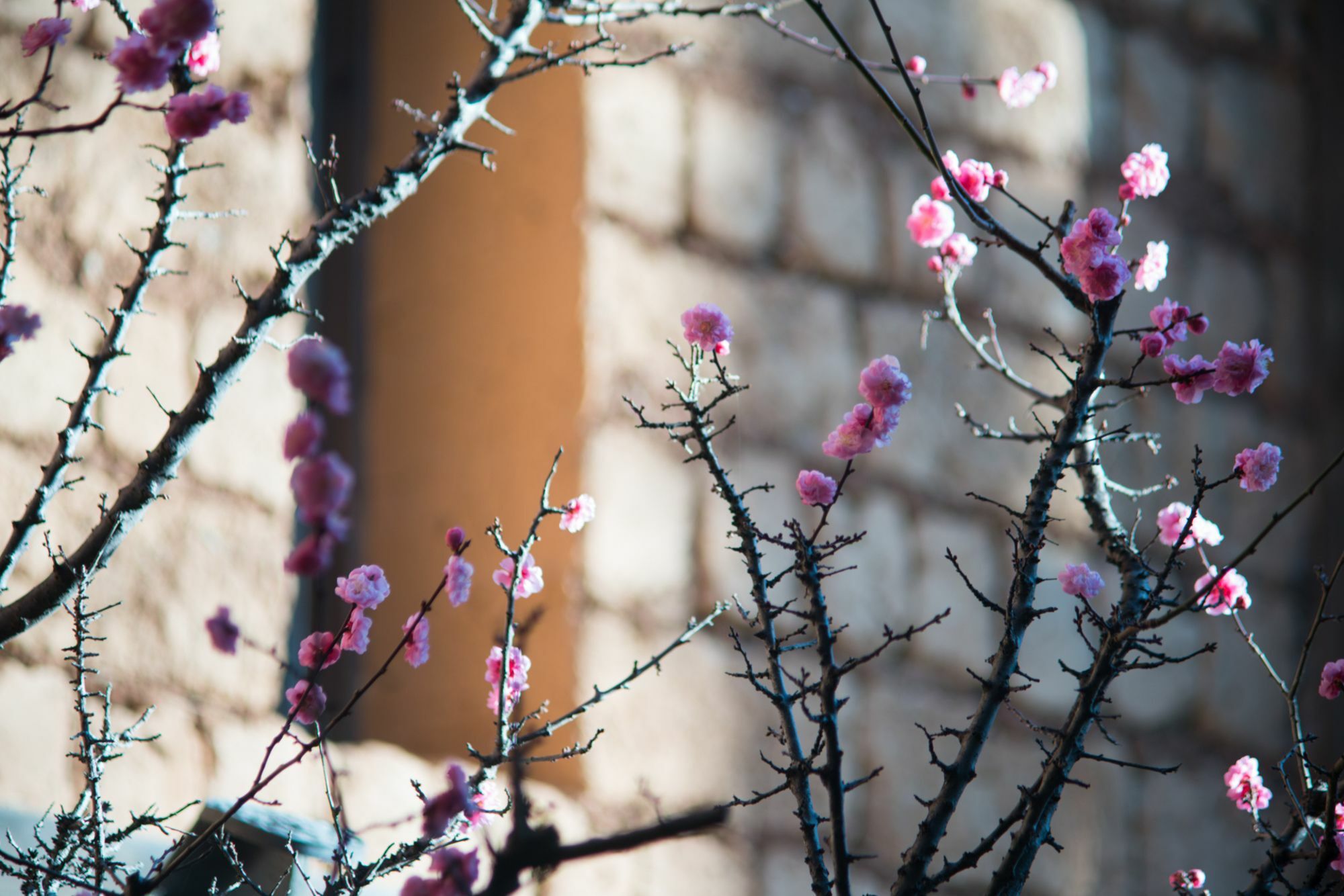 Lijiang Trustay Heartisan Boutique Hotel & Resort ภายนอก รูปภาพ